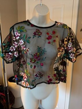 Sheer Black Floral Embroidered Crop Top
